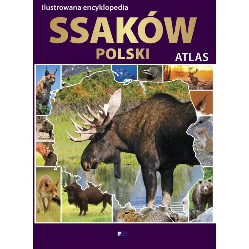 ILUSTROWANA ENCYKLOPEDIA SSAKÓW POLSKI - Fenix