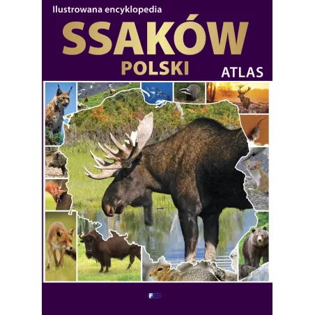 ILUSTROWANA ENCYKLOPEDIA SSAKÓW POLSKI - Fenix