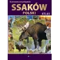 Ilustrowana Encyklopedia Ssaków Polski