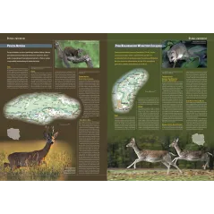 Ilustrowana Encyklopedia Ssaków Polski