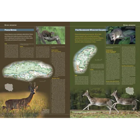 Ilustrowana Encyklopedia Ssaków Polski