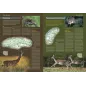 Ilustrowana Encyklopedia Ssaków Polski