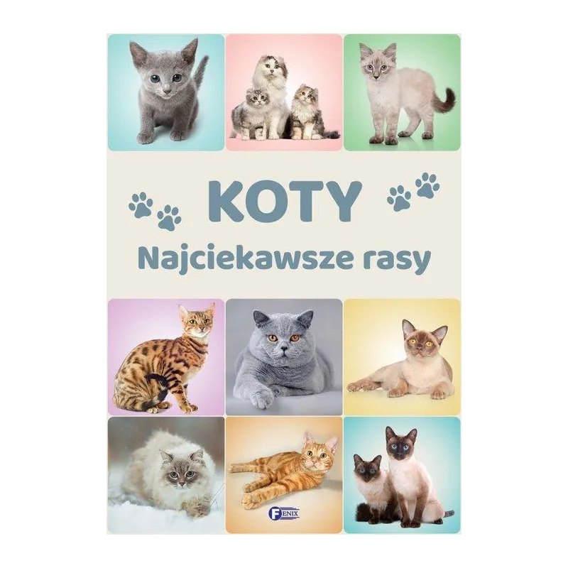 KOTY NAJCIEKAWSZE RASY - Fenix