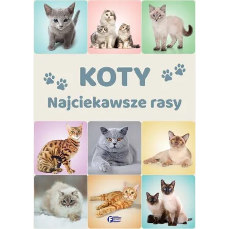 Koty Najciekawsze Rasy Koty Najciekawsze Rasy