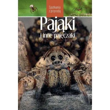 Pająki I Inne Pajęczaki. Spotkania Z Przyrodą