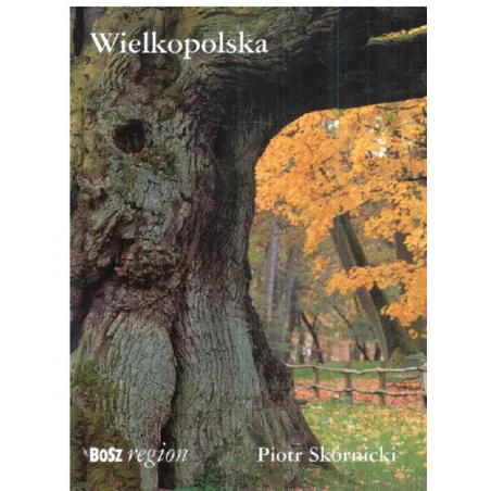 Wielkopolska Album Piotr Skórnicki Wielkopolska Album Piotr Skórnicki