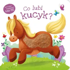 Co lubi kucyk Co lubi