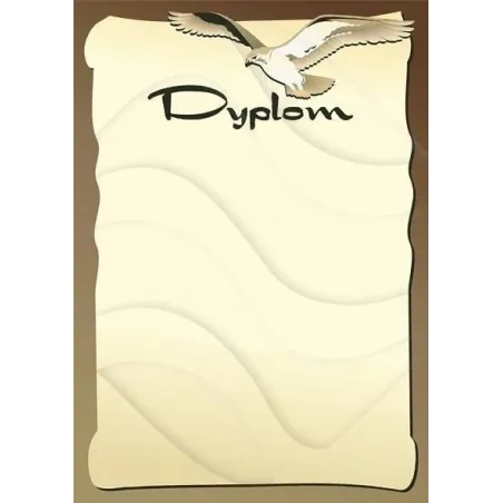 DYPLOM CERTYFIKAT A4 - Argo