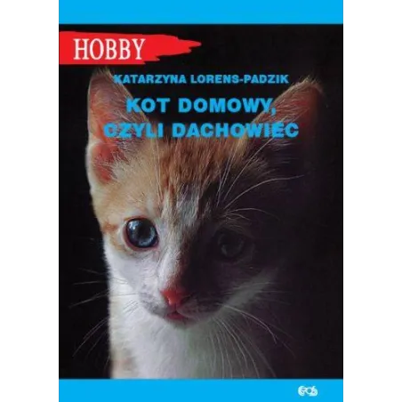Kot Domowy, Czyli Dachowiec