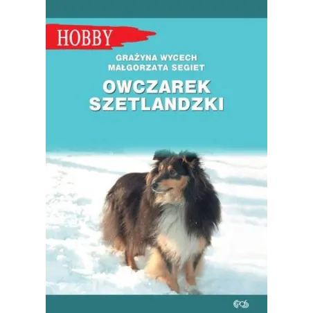 Owczarek Szetlandzki Owczarek Szetlandzki