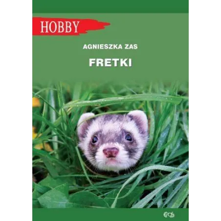 Fretki