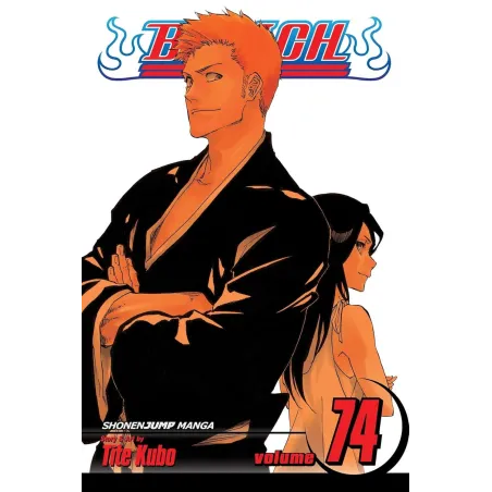 Bleach 74