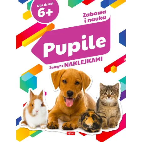 PUPILE. ZABAWA I NAUKA. ZESZYT Z NAKLEJKAMI 6+ - Dragon