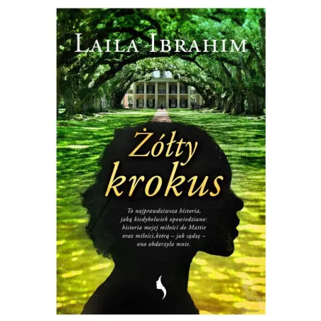 Żółty Krokus Żółty Krokus