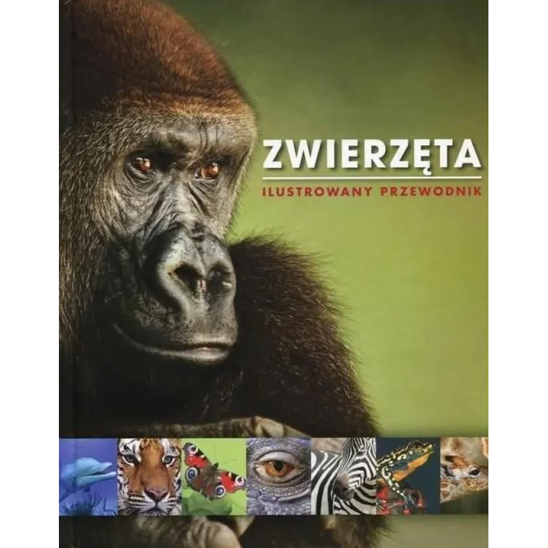 ZWIERZĘTA. ILUSTROWANY PRZEWODNIK