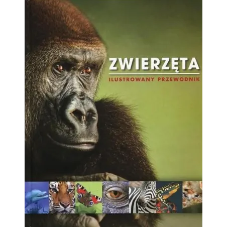 ZWIERZĘTA. ILUSTROWANY PRZEWODNIK