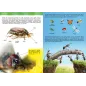 Encyklopedia Nauka I Świat