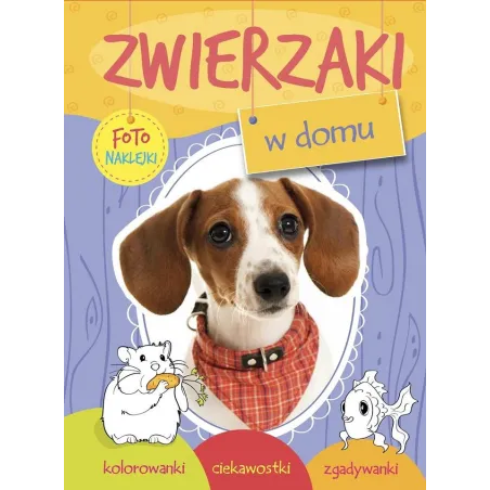 ZWIERZAKI W DOMU FOTO NAKLEJKI - Olesiejuk