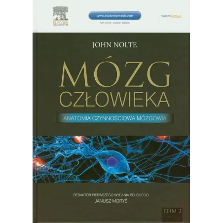 Mózg Człowieka 2 Anatomia Czynnościowa Mózgowia Mózg Człowieka 2 Anatomia Czynnościowa Mózgowia