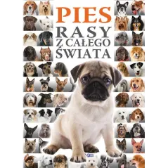 PIES RASY Z CAŁEGO ŚWIATA - Fenix
