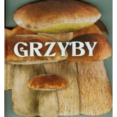 GRZYBY - Olesiejuk