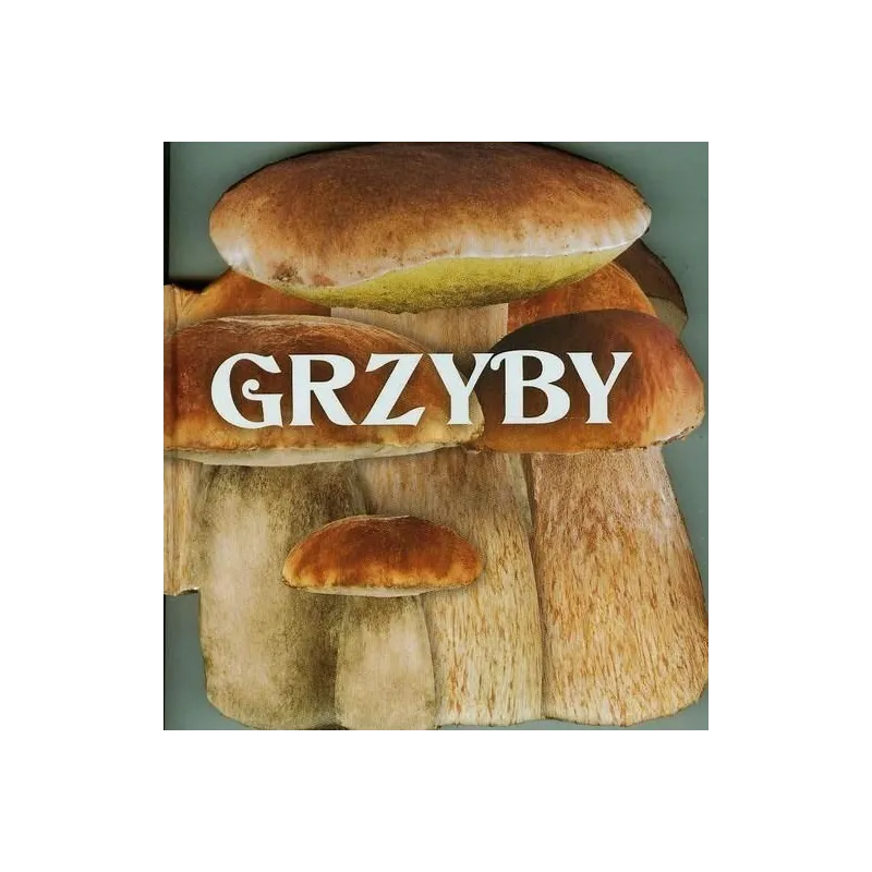 GRZYBY - Olesiejuk