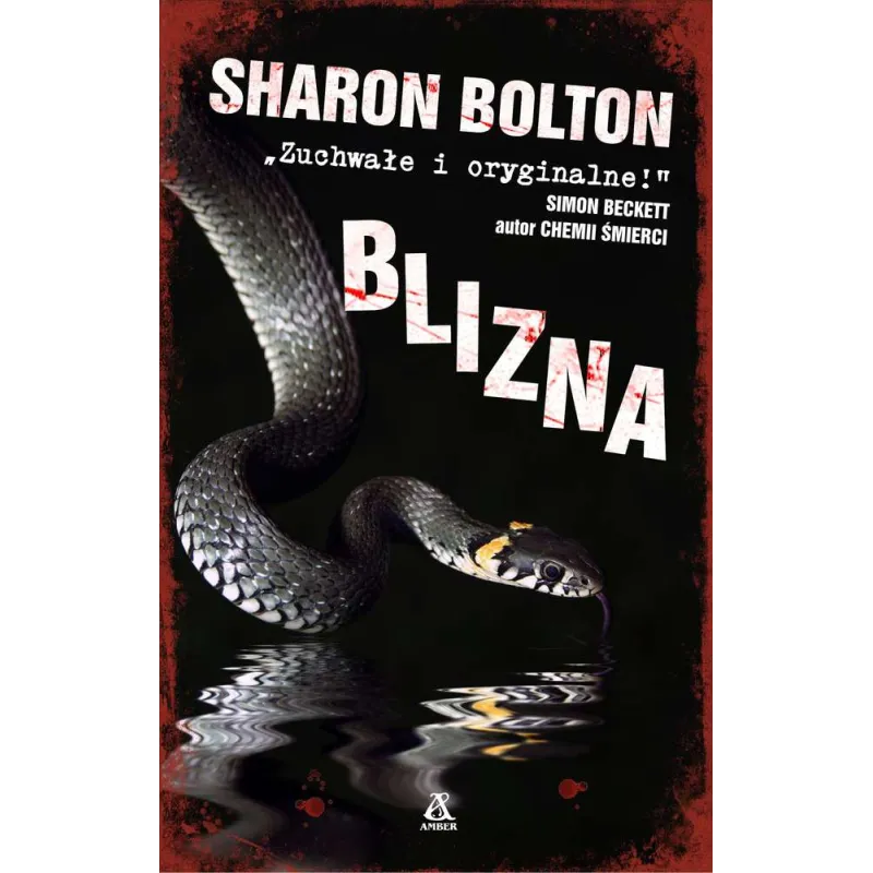 BLIZNA Sharon Bolton - Amber