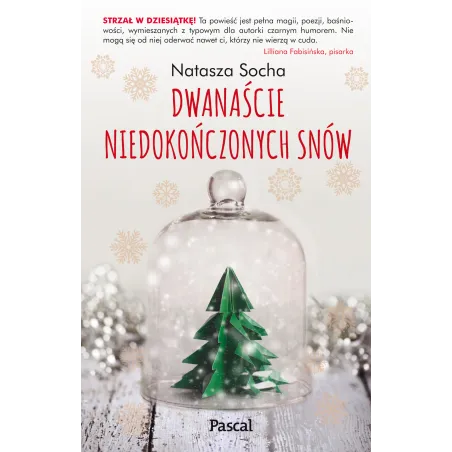 Dwanaście Niedokończonych Snów Dwanaście Niedokończonych Snów