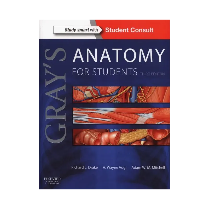 GRAYS ANATOMY FOR STUDENTS Richard R. Drake - Elsevier Urban&Partner