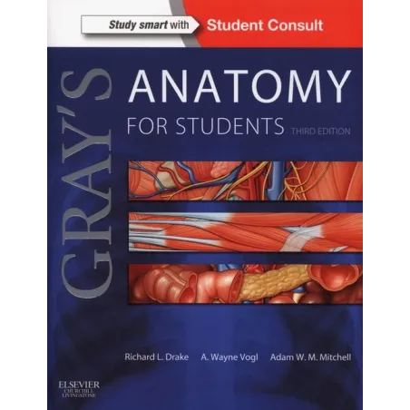 Grays Anatomy For Students Grays Anatomy For Students