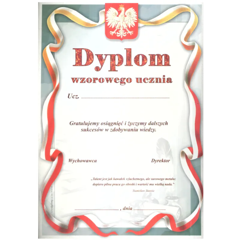 DYPLOM WZOROWEGO UCZNIA A4 - Panon