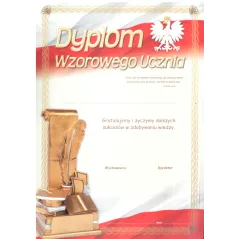 DYPLOM WZOROWEGO UCZNIA A4 - Panon