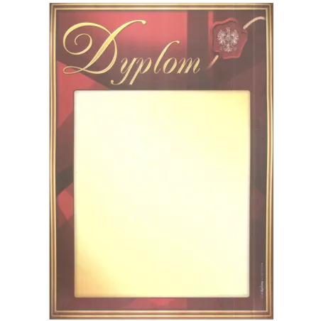 DYPLOM SZKOLNY A4 - Panon