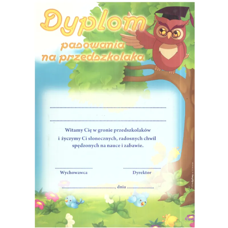 DYPLOM PASOWANIA NA PRZEDSZKOLAKA A4 - Panon