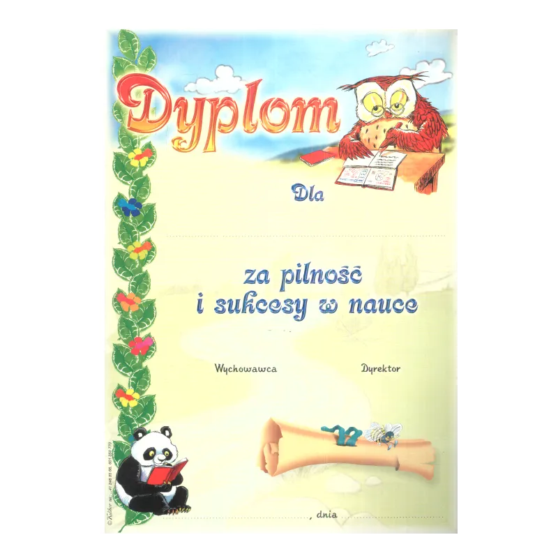 DYPLOM UKOŃCZENIA PRZEDSZKOLA B5 - Panon