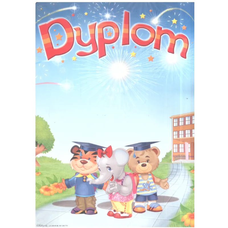 DYPLOM SZKOLNY A4 - Panon