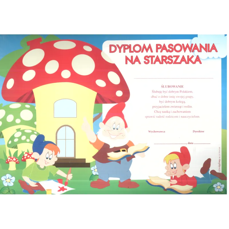 DYPLOM PASOWANIA NA STARSZAKA A4 - Panon