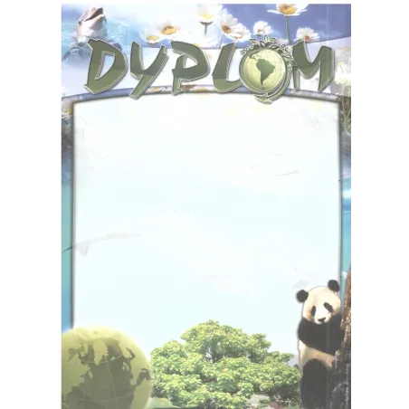 DYPLOM SZKOLNY A4 - Panon