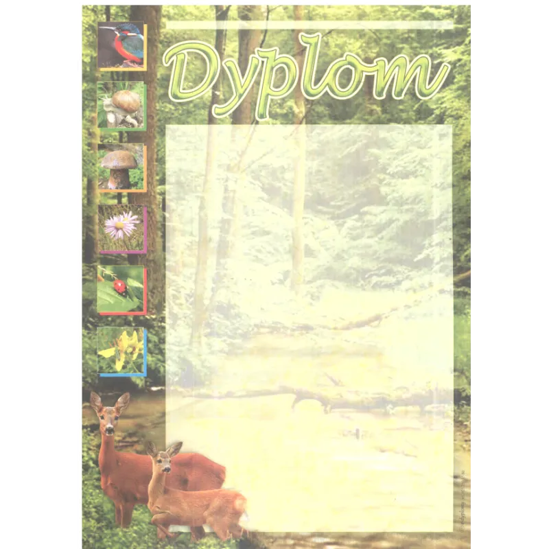 DYPLOM SZKOLNY A4 - Panon