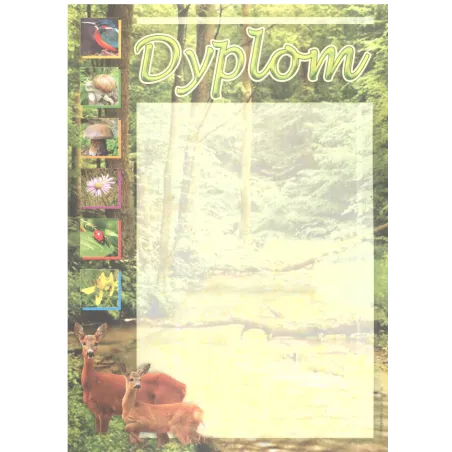DYPLOM SZKOLNY A4 - Panon