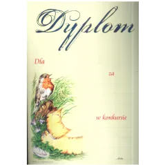 DYPLOM SZKOLNY A4 - Panon