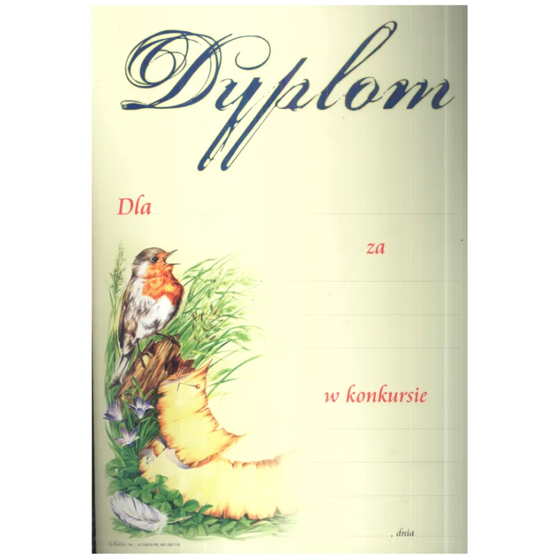 DYPLOM SZKOLNY A4 - Panon