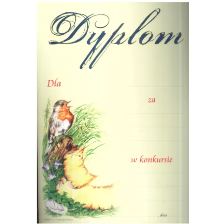 DYPLOM SZKOLNY A4 - Panon