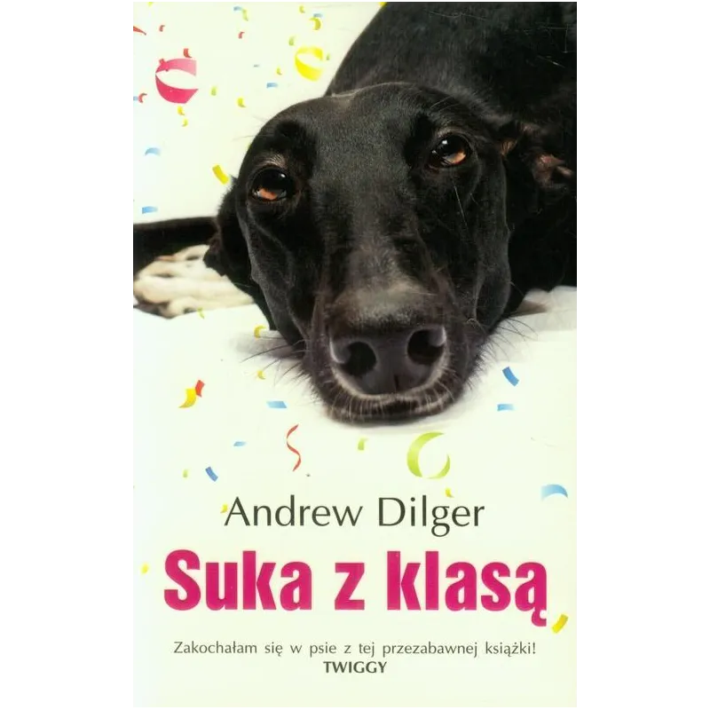 SUKA Z KLASĄ Andrew Dilger - Albatros