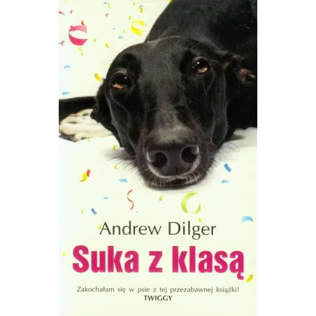 SUKA Z KLASĄ Andrew Dilger - Albatros