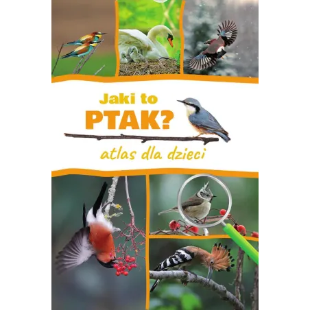 Jaki To Ptak? Atlas Dla Dzieci