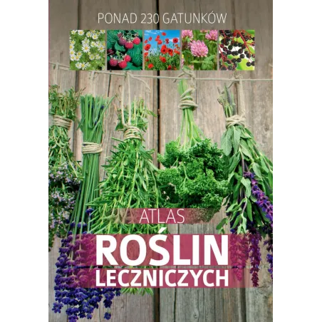ATLAS ROŚLIN LECZNICZYCH - SBM