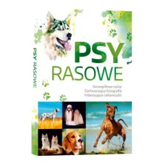 PSY RASOWE OPISY CIEKAWOSTKI ZACHWYCAJĄCE FOTOGRAFIE