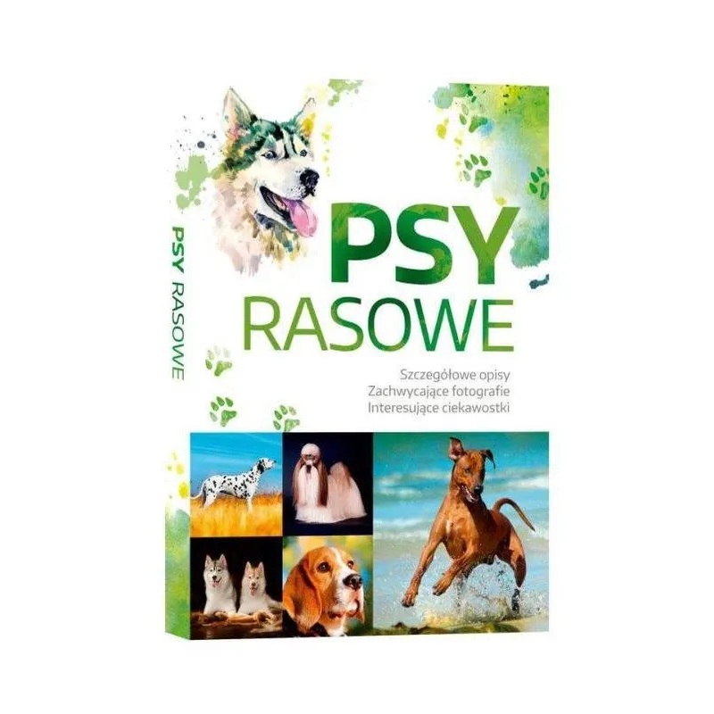PSY RASOWE OPISY CIEKAWOSTKI ZACHWYCAJĄCE FOTOGRAFIE