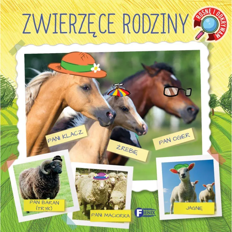 ZWIERZĘCE RODZINY ROSNĘ I ODKRYWAM - Fenix